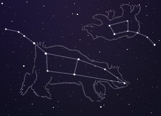 both ursa major and minor